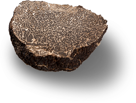 black truffles